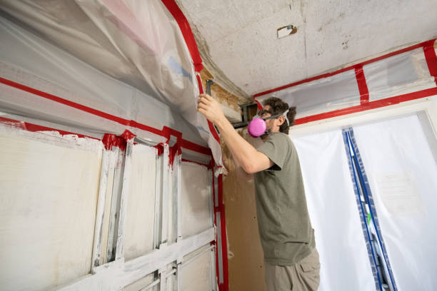 Best Mold Remediation for Rental Properties  in Troy Hills, NJ