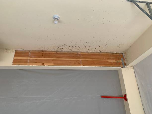 Best Indoor Air Quality Assessment  in Troy Hills, NJ