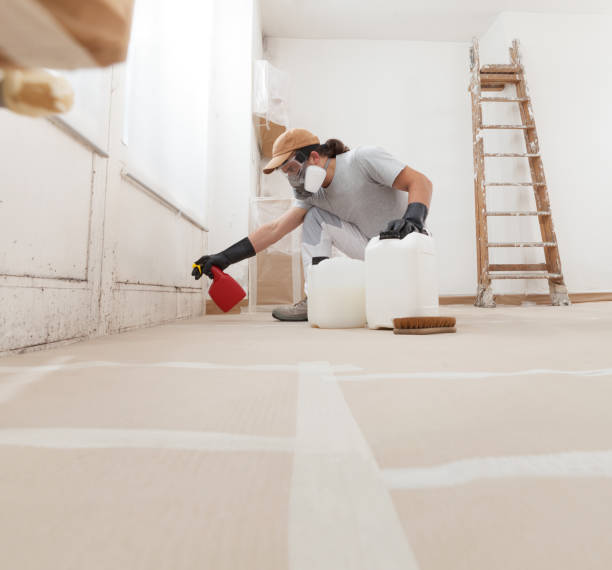 Mold Documentation for Insurance Claims in Troy Hills, NJ